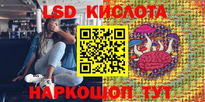 ПСИЛОЦИБИНОВЫЕ ГРИБЫ Изобильный