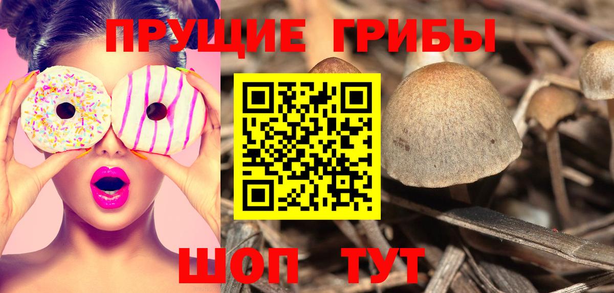 Псилоцибиновые грибы Psilocybe  Вход с VPN  Псилоцибиновые грибы мицелий  Камышлов 